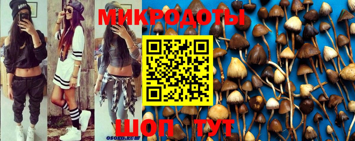 Псилоцибиновые грибы мухоморы Железноводск