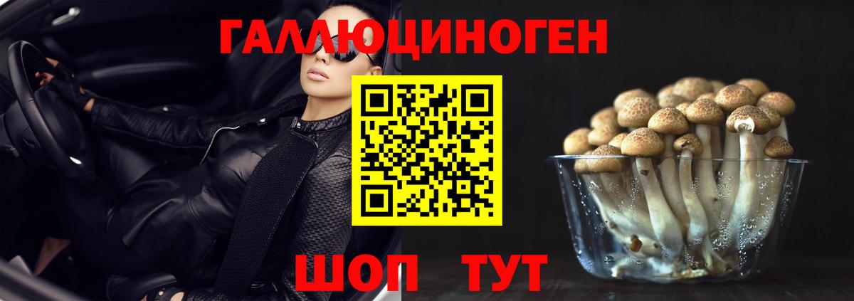Галлюциногенные грибы Psilocybe  Вход с VPN  купить   Железноводск 